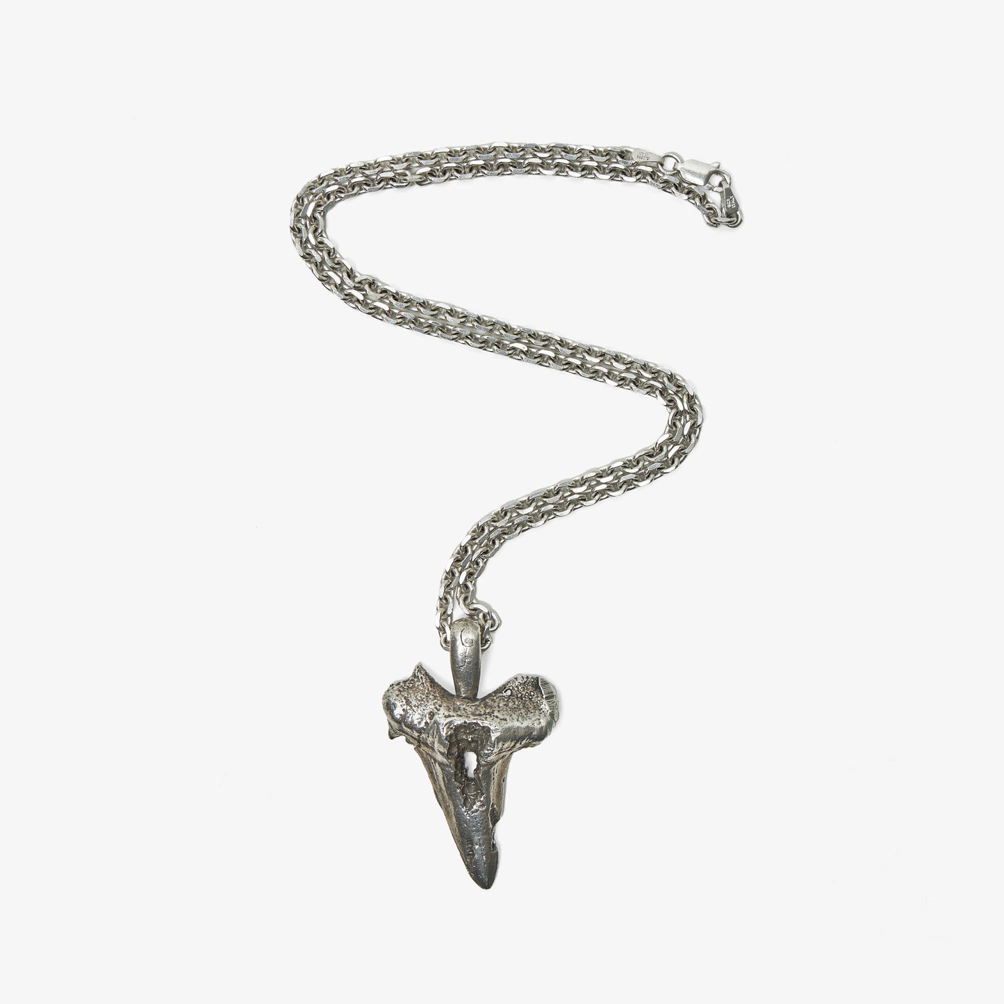 Decayed Shark Tooth